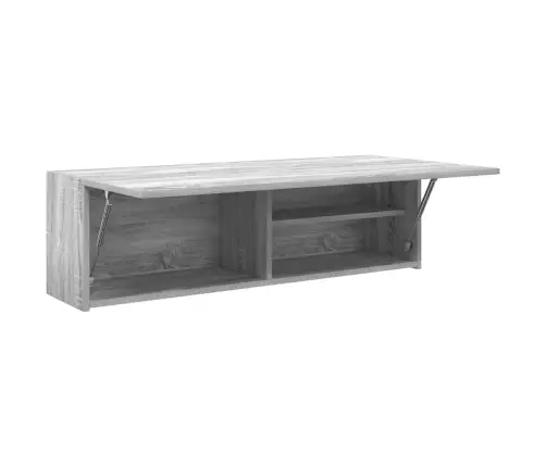 Vannitoa Seinakapp, Hall Sonoma Tamm, 100 X 25 X 30 Cm