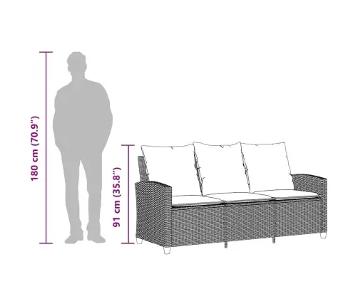 3-Kohaline Aediivan Koos Patjade Ja Lauaga Must Polürotangist