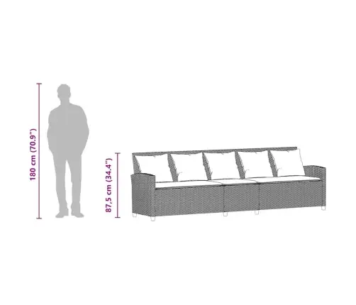 5-Kohaline Aediivan Koos Patjadega Beež Polürotangist