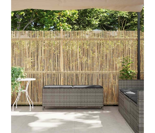 Dārza Sols Ar Spilvenu Pelēks 110X30X40,5 Cm Polirotangpalmas Vidaxl