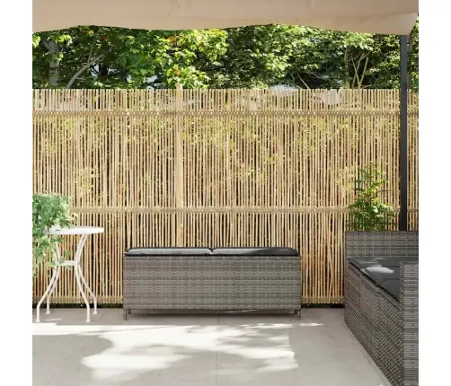 Dārza Sols Ar Spilvenu Pelēks 110X30X40,5 Cm Polirotangpalmas Vidaxl