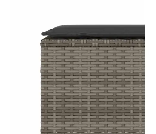 Dārza Sols Ar Spilvenu Pelēks 110X30X40,5 Cm Polirotangpalmas Vidaxl