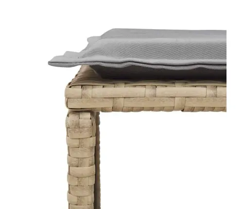 5Daļīgs Dārza Dīvānu Komplekts Ar Spilveniem Vidaxl