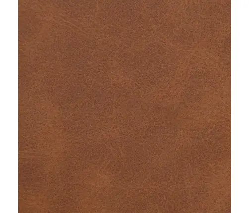 Tugitool, Pruunikashall, Kangas