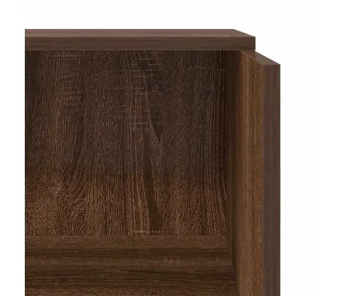 Reģistratūra, Brūna Ozola, 55X50X103,5 Cm, Inženierijas Koks Vidaxl