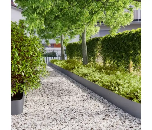 Zālāju Apmales 10 Gab Antracīts 20X103Cm Auksti Velmēts Tērauds Vidaxl