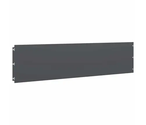 Zālāju Apmales 10 Gab Antracīts 25X103Cm Auksti Velmēts Tērauds Vidaxl