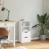Sānu Skapis Ar Atvilktnēm 