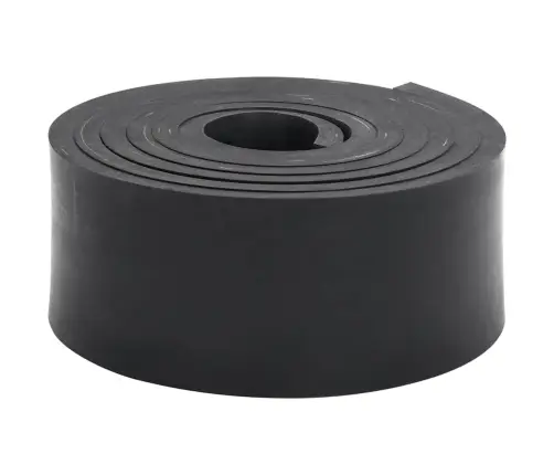 Gumijas Mala Sniega Tīrītājam, Melns, 250X8X1 Cm Vidaxl