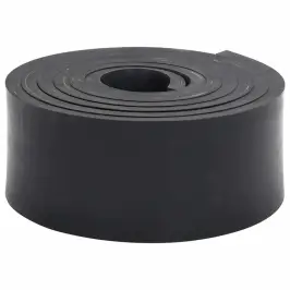 Gumijas Mala Sniega Tīrītājam, Melns, 250X10X1 Cm Vidaxl