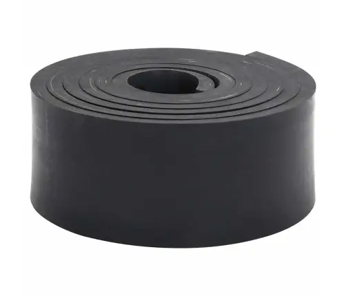 Gumijas Mala Sniega Tīrītājam, Melns, 250X10X1 Cm Vidaxl