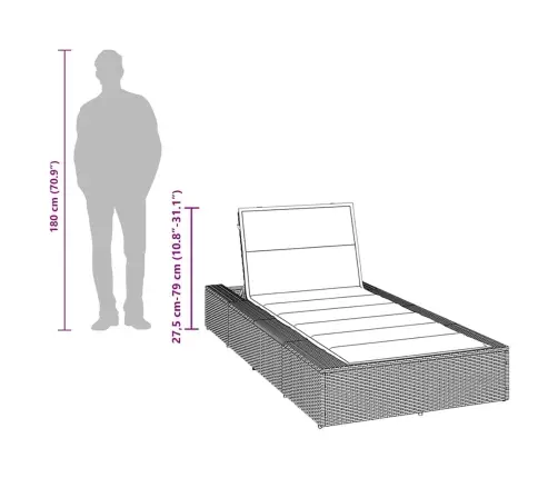 Solaariumitool Ujuva Padjaga, Pruun Polürotangist