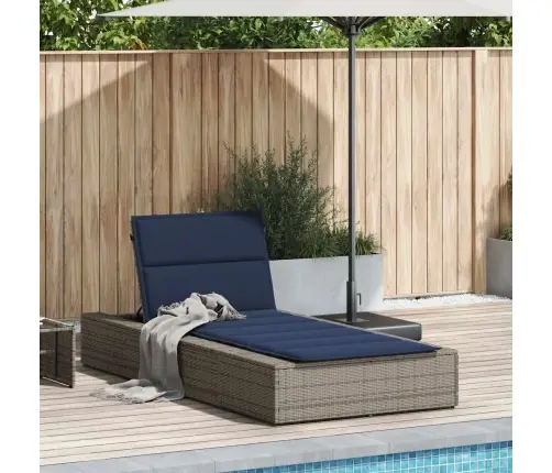 Sauļošanās Krēsls Ar Peldošu Spilvenu, Pelēks Polirotangpalmas Vidaxl