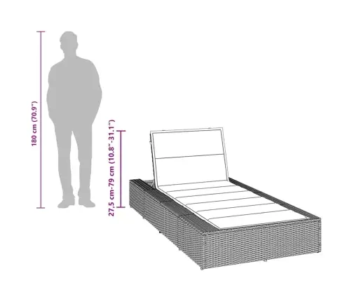 Sauļošanās Krēsls Ar Peldošu Spilvenu, Pelēks Polirotangpalmas Vidaxl