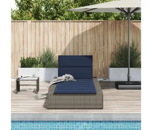 Sauļošanās Krēsls Ar Peldošu Spilvenu, Pelēks Polirotangpalmas Vidaxl