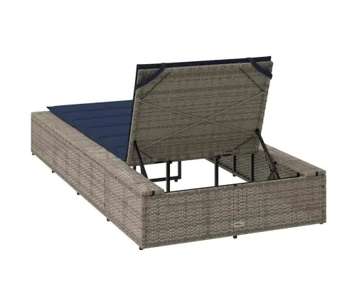 Sauļošanās Krēsls Ar Peldošu Spilvenu, Pelēks Polirotangpalmas Vidaxl