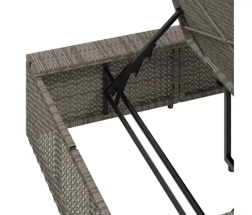 Sauļošanās Krēsls Ar Peldošu Spilvenu, Pelēks Polirotangpalmas Vidaxl