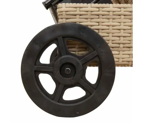 Päevitustool Rataste Ja Istmepadjaga, Beež, Polürotang