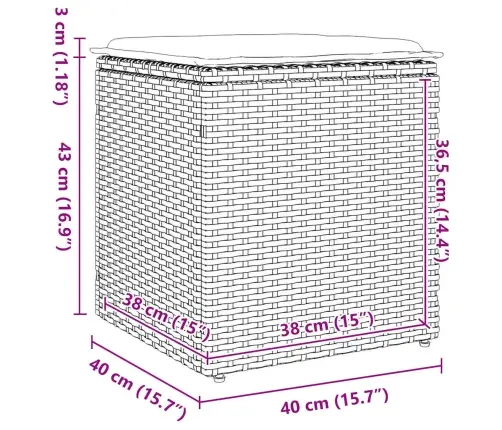 Dārza Krēsli Ar Spilveniem 2 Gab., Bēši Polirotangpalmas Vidaxl