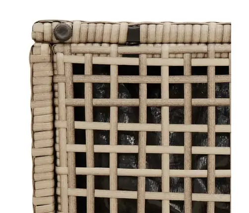 Dārza Krēsli Ar Spilveniem 2 Gab., Bēši Polirotangpalmas Vidaxl