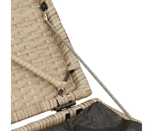 Dārza Krēsli Ar Spilveniem 2 Gab., Bēši Polirotangpalmas Vidaxl