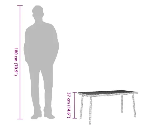 Sodo Kavos Staliukas Stačiakampis Ruda 80X40X37 Cm Poliratanas