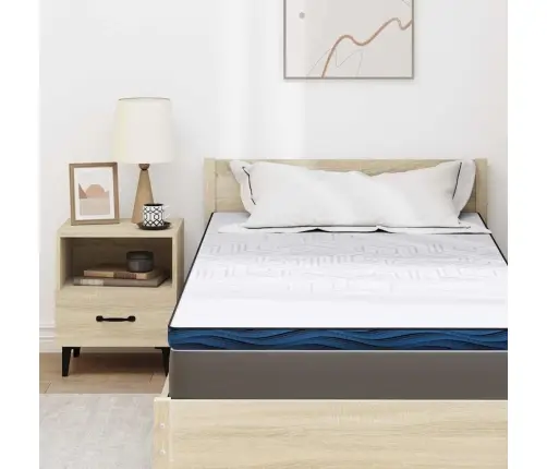 Matracīši Balta Un Zila 100 X 200 Cm Vidaxl