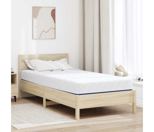 Matrači Balts, Zils 100 X 200 Cm 100% Poliestera Žakarda Audums Vidaxl