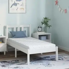 Čiužinys Su Kokoso Sluoksniu Balta 160 X 80 Cm Pu Putos