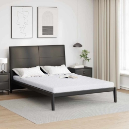 Čiužinys Su Kokoso Sluoksniu Balta 200 X 140 Cm Pu Putos