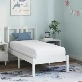 Čiužinys Su Kokoso Sluoksniu Balta 60 X 120 Cm