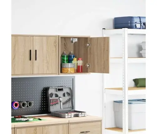 Garaaži Seinakapp Sonoma Tamme Ehituspuit