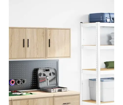 Garaaži Seinakapp Sonoma Tamme Ehituspuit