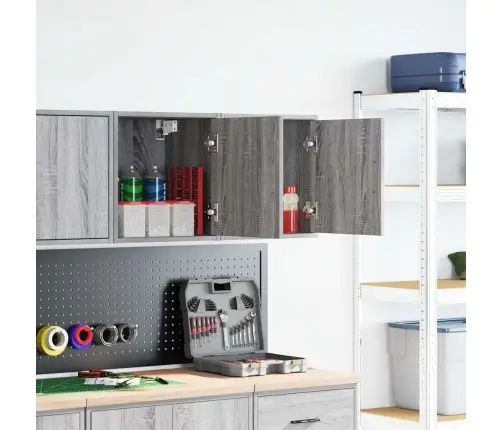 Garaaži Seinakapid 2 Tk, Hall Sonoma Tamm, Tehispuit