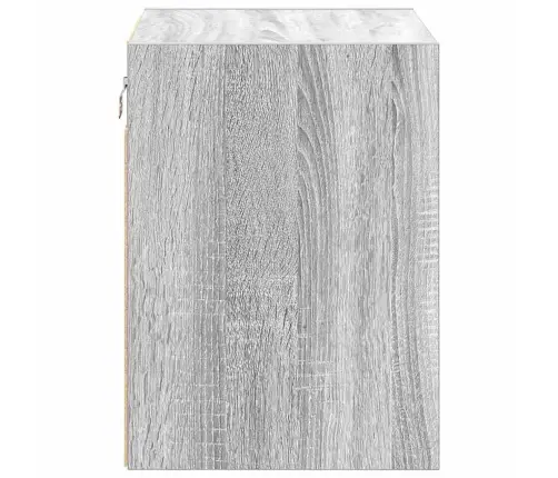 Garaaži Seinakapid 2 Tk, Hall Sonoma Tamm, Tehispuit