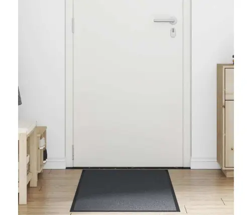 Uksematt, Antratsiithall, 60 X 180 Cm