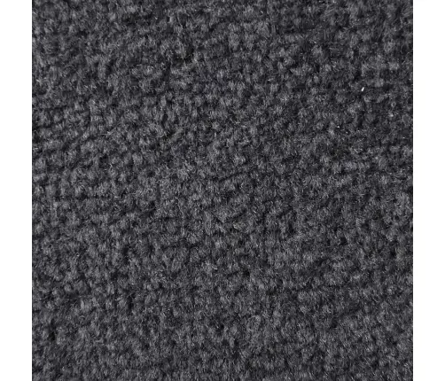 Durvju Paklājs, Antracītpelēks, 90X150 Cm Vidaxl