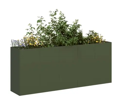 Puķu Kaste, Olīvzaļa, 200X40X80 Cm, Auksti Velmēts Tērauds Vidaxl