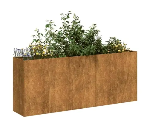 Puķu Kaste, Rūsas, 200X40X80 Cm, Izturīgs Tērauds Vidaxl