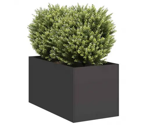 Puķu Kaste, Melna, 40X80X40 Cm, Auksti Velmēts Tērauds Vidaxl