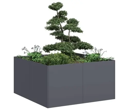 Taimekast, Antratsiithall, 80X80X40 cm Külmvalts Teras