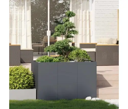 Puķu Kaste, Pelēka, 120X80X80 Cm, Tērauds Vidaxl