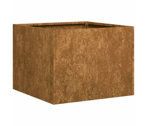 Puķu Kaste, Rūsas, 40X40X30 Cm, Izturīgs Tērauds Vidaxl