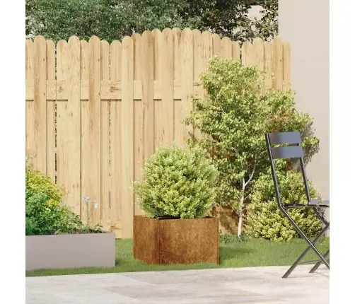 Puķu Kaste, Rūsas, 40X40X30 Cm, Izturīgs Tērauds Vidaxl