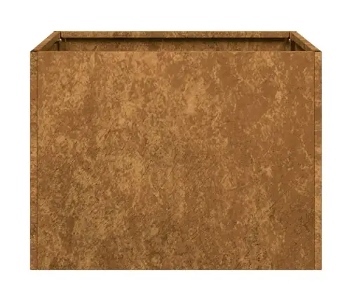 Puķu Kaste, Rūsas, 40X40X30 Cm, Izturīgs Tērauds Vidaxl