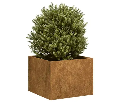 Puķu Kaste, Rūsas, 40X40X30 Cm, Izturīgs Tērauds Vidaxl