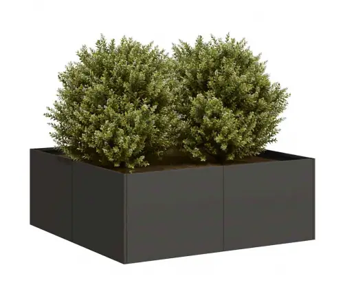 Puķu Kaste, Melna, 80X80X30 Cm, Tērauds Vidaxl