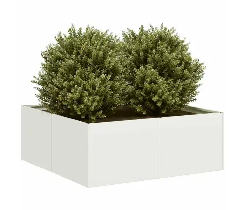 Taimekast Valge 80X80X30 cm Teras