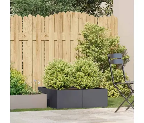 Taimekast Antratsiithall 80X80X30 cm Teras