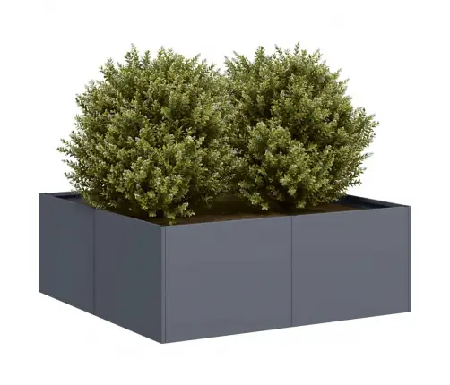Taimekast Antratsiithall 80X80X30 cm Teras